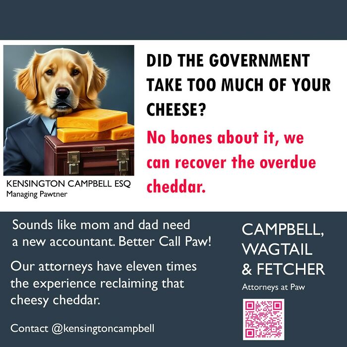 27 Parody Ads For All The Dogs Seeking Attorney Services By Kensington Campbell (New Pics)