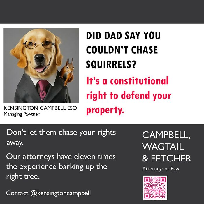 27 Parody Ads For All The Dogs Seeking Attorney Services By Kensington Campbell (New Pics)