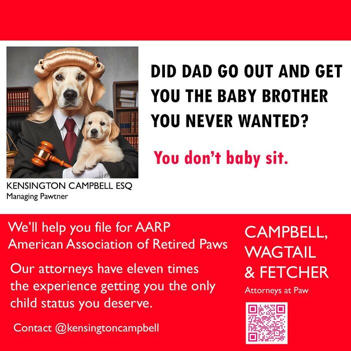 27 Parody Ads For All The Dogs Seeking Attorney Services By Kensington Campbell (New Pics)