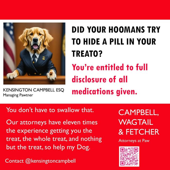 27 Parody Ads For All The Dogs Seeking Attorney Services By Kensington Campbell (New Pics)