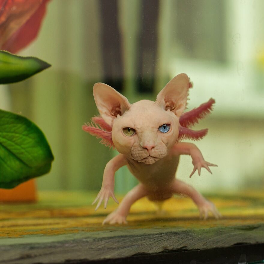 27 Imaginary Creatures That I Photoshopped By Fusing Two Existing Ones (New Pics) (Interview)