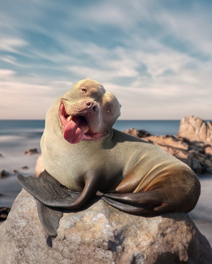 27 Imaginary Creatures That I Photoshopped By Fusing Two Existing Ones (New Pics) (Interview)