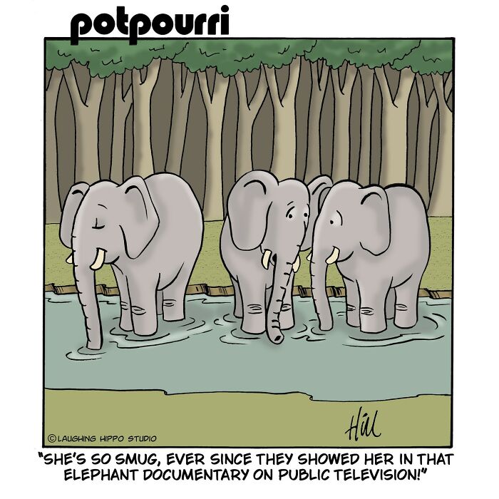 Laughing Hippo Studio: Doug Hill's Hilarious Comics Delight All Ages (75 New Pics)