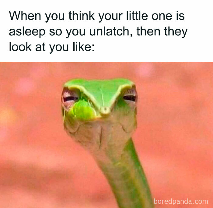 Funny-Newborn-Parents-Memes