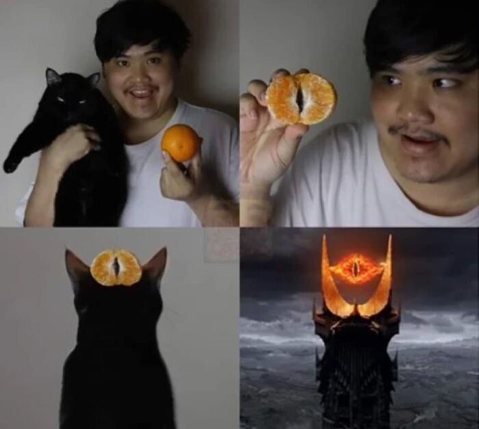 "One Meme To Rule Them All": 50 Hilarious LOTR Memes from Dedicated Fans