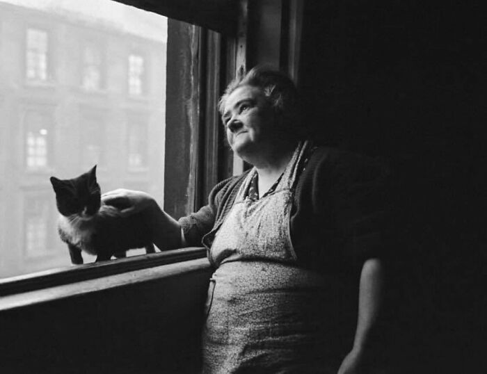 The Best Cat Photographs According To The Street Photographers Foundation (33 Pics)