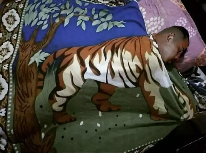 Man sleeping under a blanket with a tiger design creating an optical illusion, featured on cursed pics and memes Instagram page.