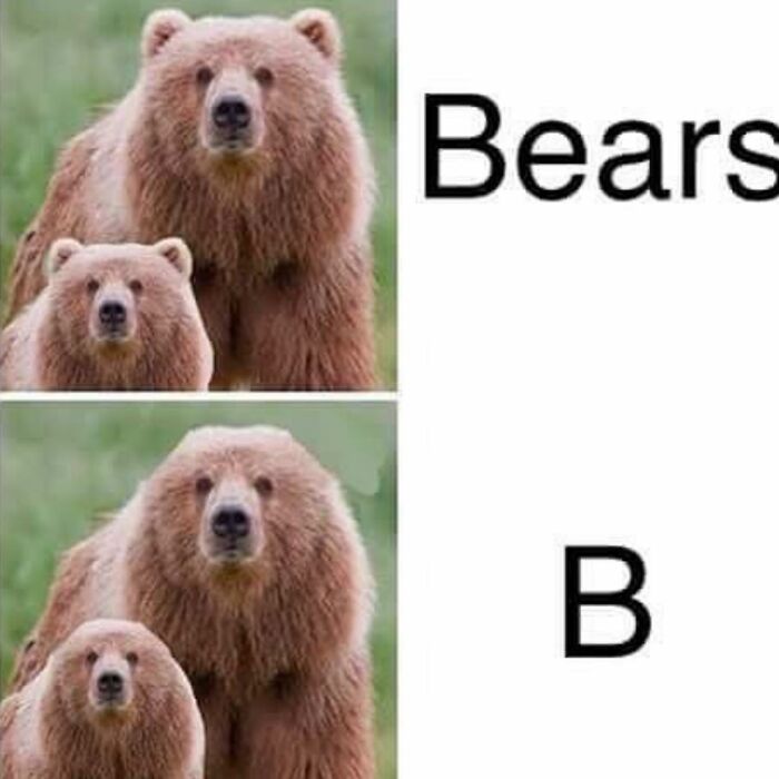 Funny-Parent-Jokes-Puns