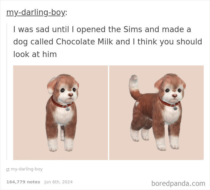 Cute Sim dog named Chocolate Milk, shared in a relatable meme post.