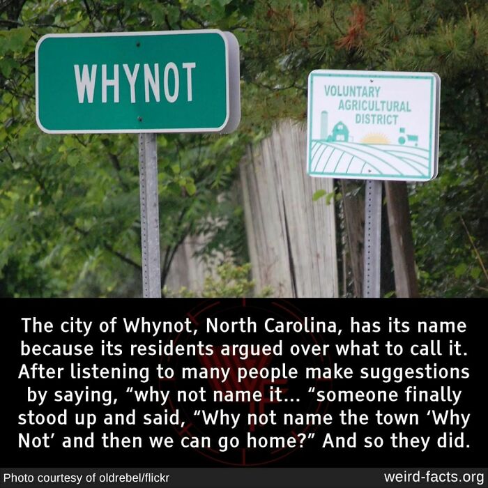 Whynot sign in North Carolina surrounded by greenery, showcasing a weird fact about its naming origin.