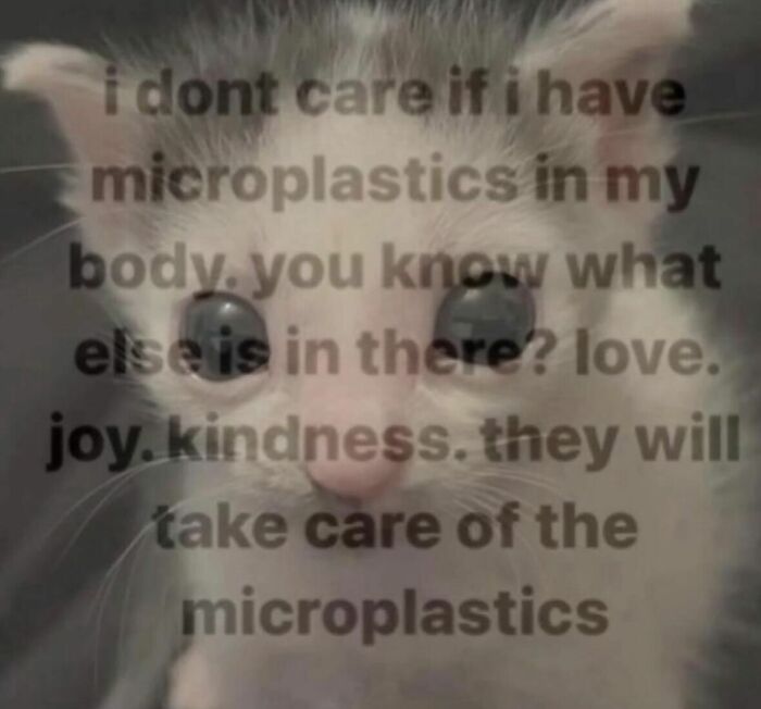 Funny-Nonsense-Pics-Memes-Emotionalclub