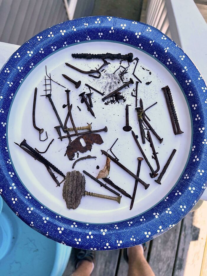 Casi piso un clavo en mi jardín. Compré una barredora magnética de $10 y encontré todo esto. Todo en lugares donde mi pareja, mis hijos y yo caminamos descalzos todo el tiempo.