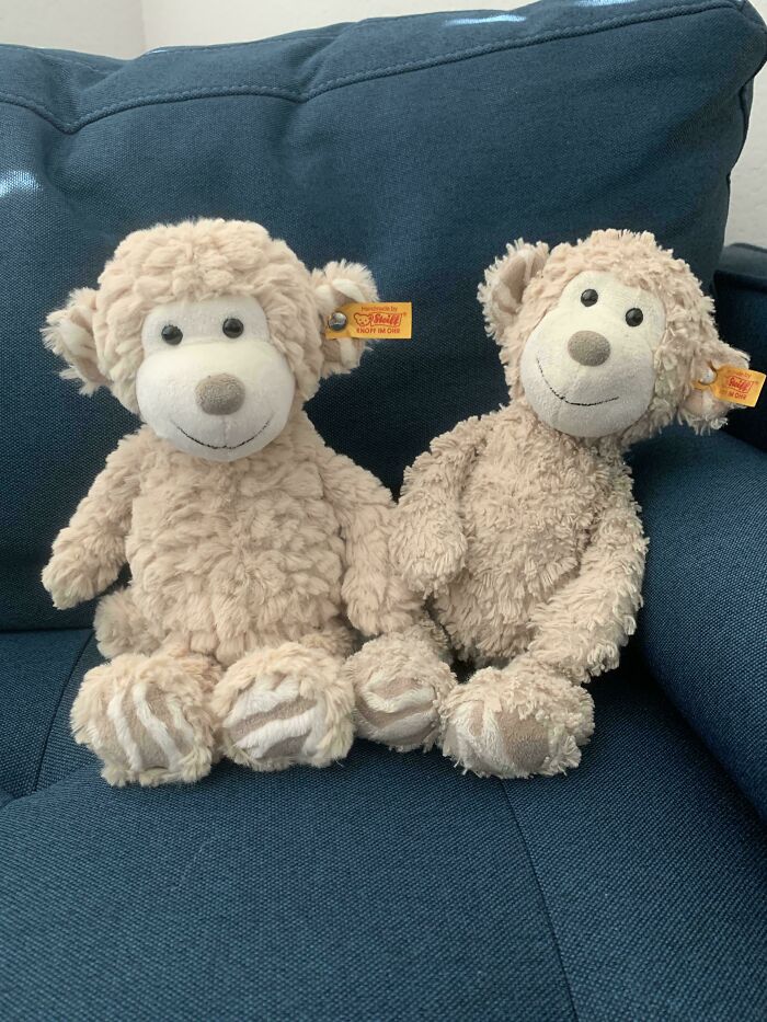 Compra siempre un repuesto