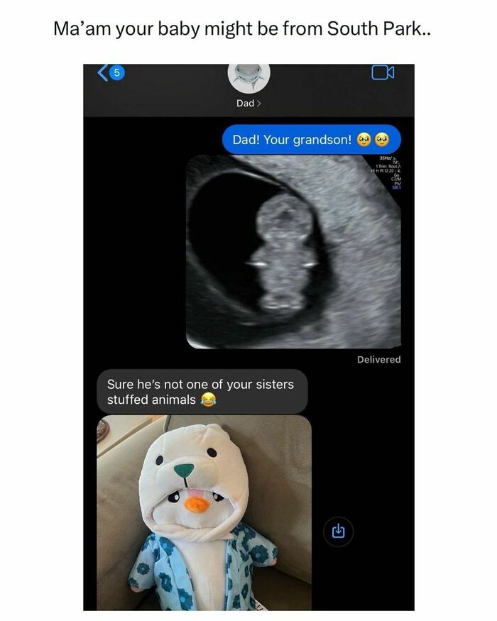 Ultrasound image and plush toy with funny texts; a random hilarious meme from an IG page.