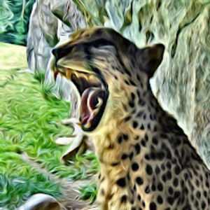 michelejacobs avatar