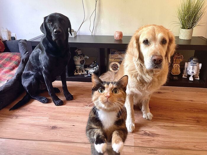 When Dinner Is 7 PM And It’s Already 7:01 PM