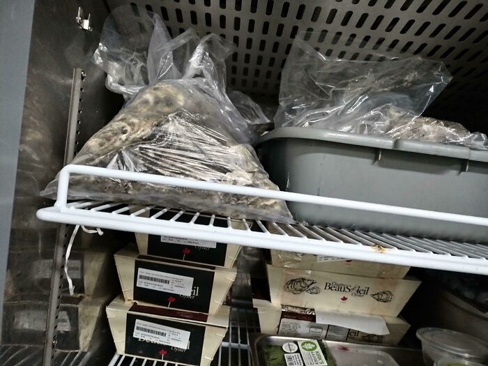 Guys... I'm The Truffle Guy From Yesterday. I'm Begging You Pls Don't Shoot The Messenger