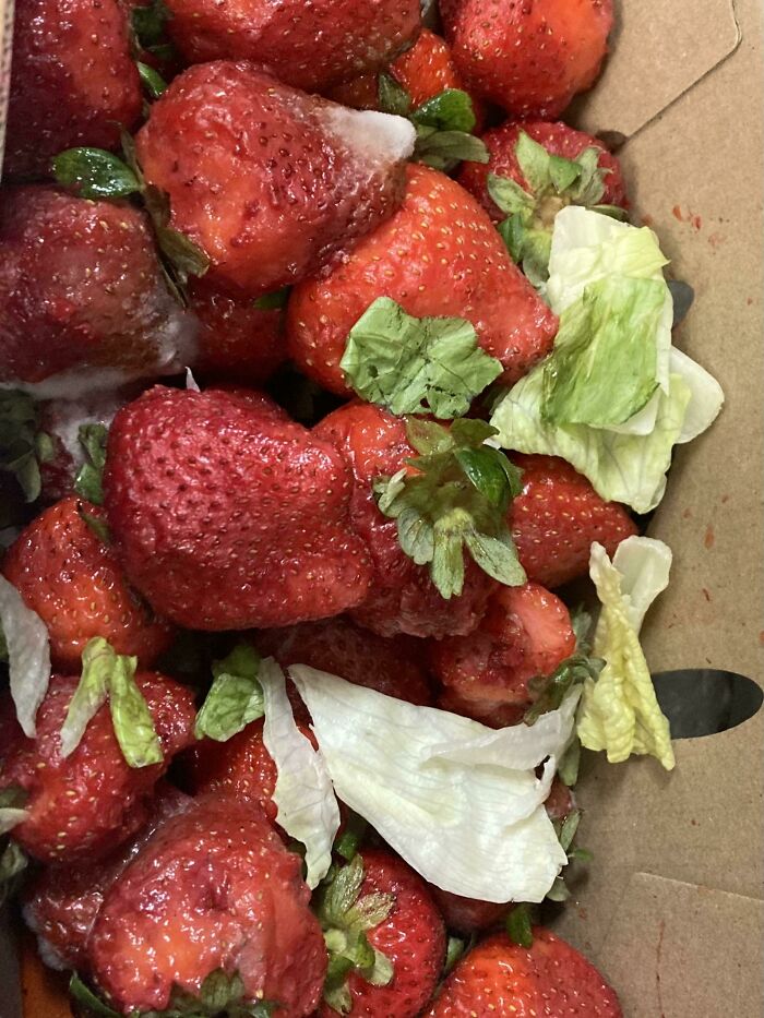 I Was Told To Pick Through These And Wash Them Off To Serve. Is This Wrong? It Seems Gross To Me