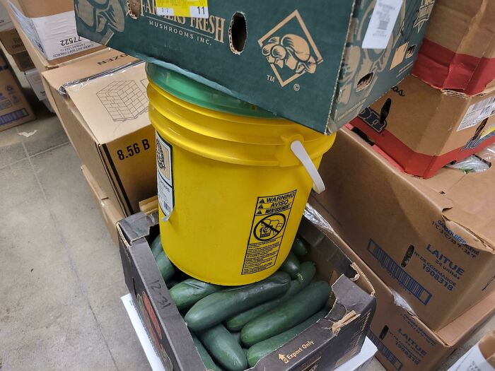 One Sysco Driver Finds A New Way To Make Me Ask "Why?" Every Delivery. He Doesn't Think. At All