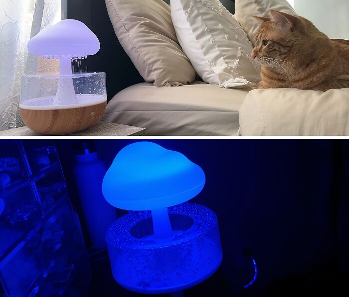 Zen Out With The Soothing Sounds And Scents Of The Raining Cloud Night Light & Aromatherapy Essential Oil Diffuser 