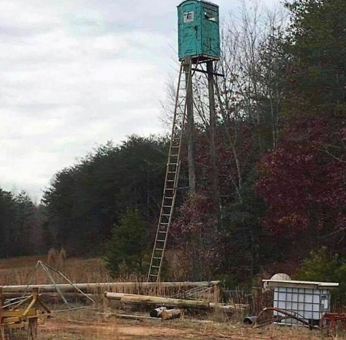 Elevated portable toilet mounted on tall wooden stilts in a forest clearing, showcasing random and cringe humor.