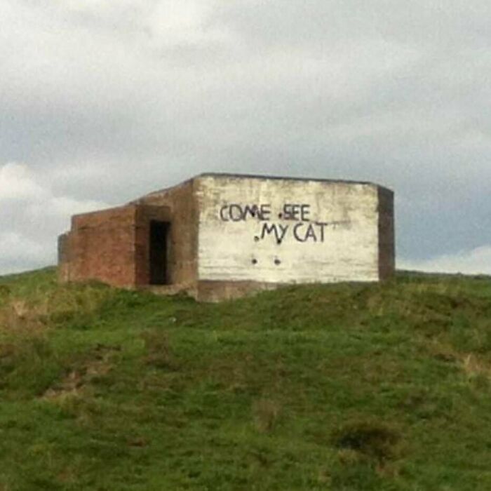 Old brick building on a grassy hill with a cringe sign saying come see my cat, fitting random and cringe photos.