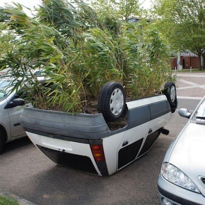 Upside-down car transformed into a planter with tall green plants, showcasing random and cringe humor in a parking lot.