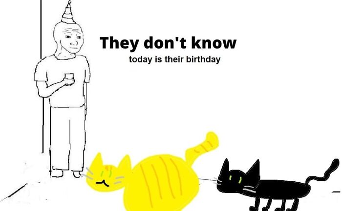 Internet-Cat-Pictures