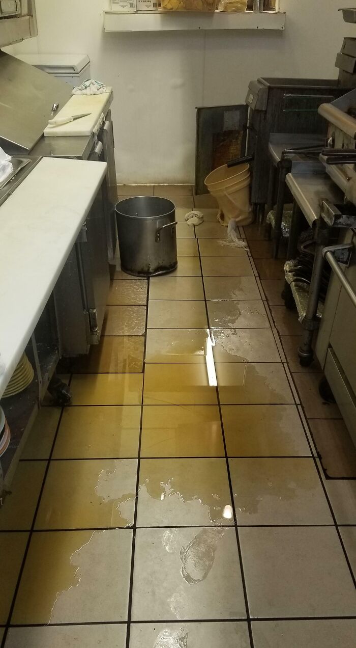 *common Sense Has Left The Chat