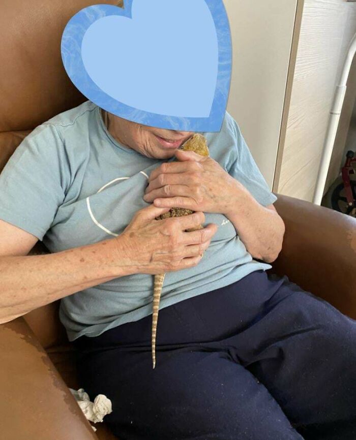 I Work With Elderly Mentally Disabled People, And Today I Brought Sock With Me To Meet Else, Who Is Crazy About Reptiles But Has Never Had The Chance To Meet One