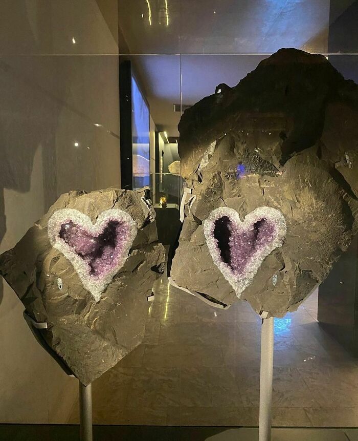 Two heart-shaped geodes with purple crystals on display, featuring on the weirdest Instagram account.