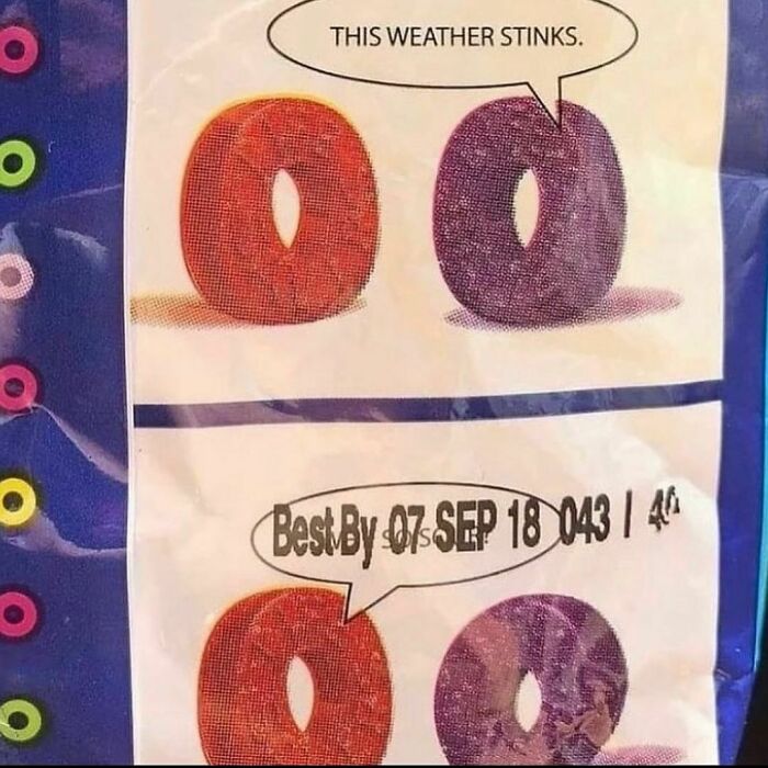 Two colorful letter O’s, one saying "THIS WEATHER STINKS," the other with an expiration date. Weirdest Instagram account humor.