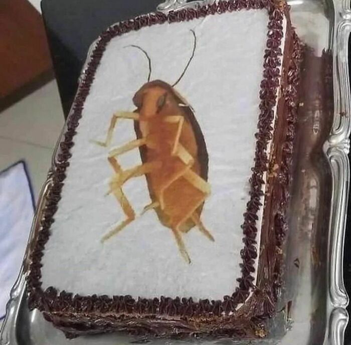 Cake with cockroach image from the weirdest Instagram account, showcasing bizarre humor.
