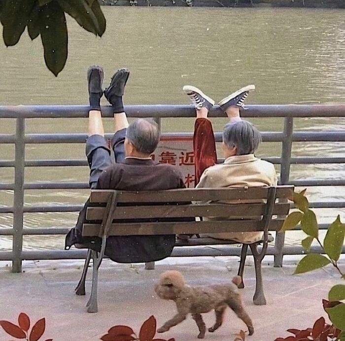 Two people sitting on a bench by water, legs raised over the railing, embodying the quirky essence of "I Want To Leave Ok."