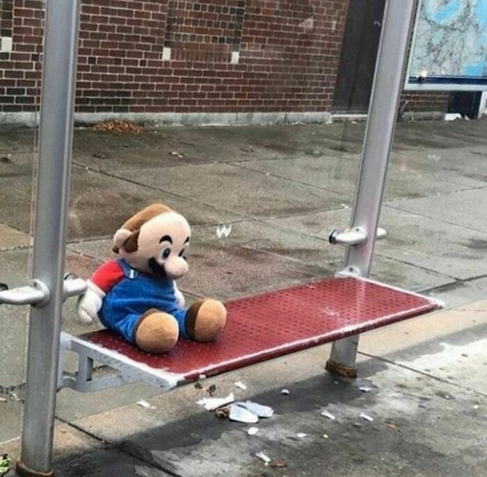 Stuffed toy resembling a well-known character sits alone on a bus stop bench, embodying quirky Instagram content.