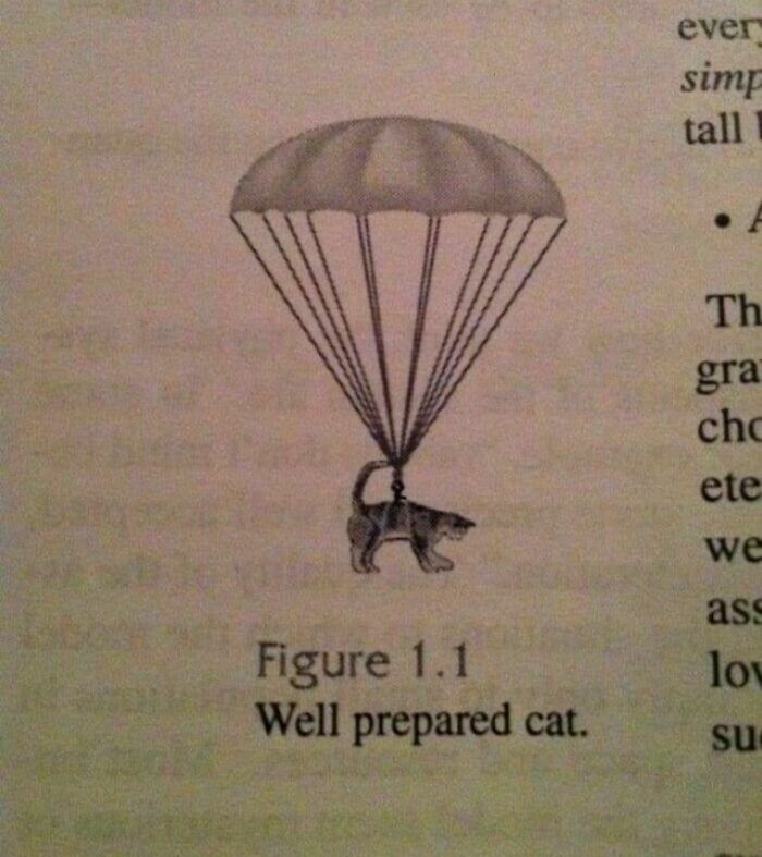 Parachuting cat illustration labeled "Well prepared cat," highlighting the weirdest Instagram content.