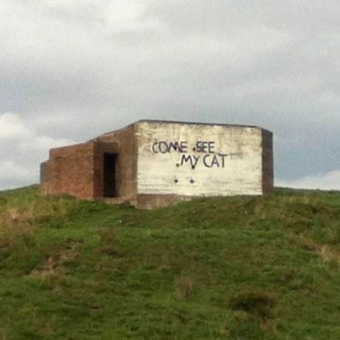 Weirdest Instagram account: a bunker on hill with "come see my cat" graffiti.