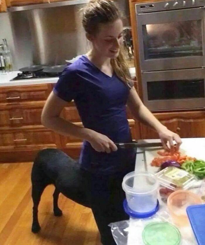 Person chopping vegetables in a kitchen, with an oddly positioned dog, from the weirdest Instagram account.