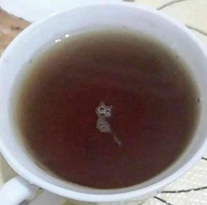 Cup of tea with unusual bubbles creating a small cat face pattern; "I Want To Leave Ok" Instagram content.