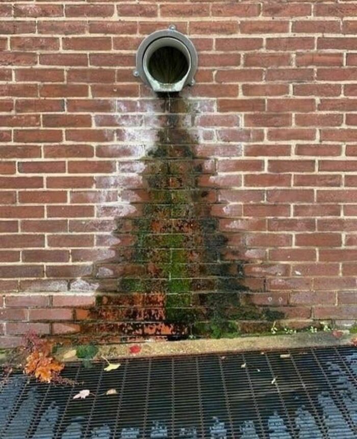 Weird Instagram account image shows mossy water streak from a pipe on a brick wall.