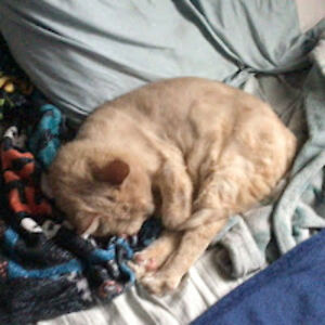 crackersjacks avatar