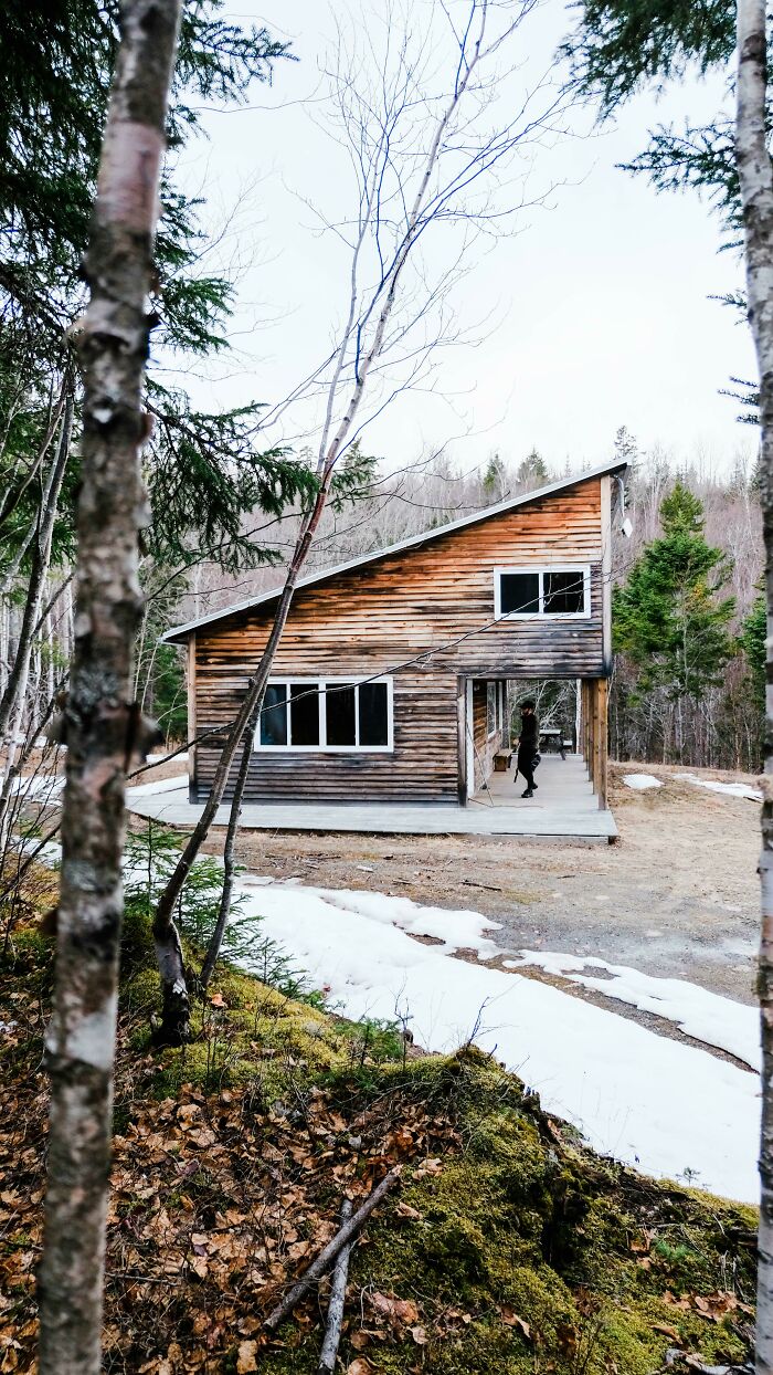 Bought A Tiny Cabin In The Woods And Moved From Toronto, Canada To The Bay Of Fundy, New Brunswick