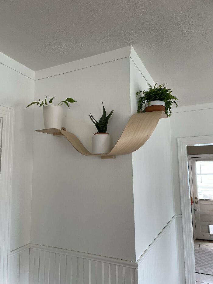 Curved Shelf Experiments