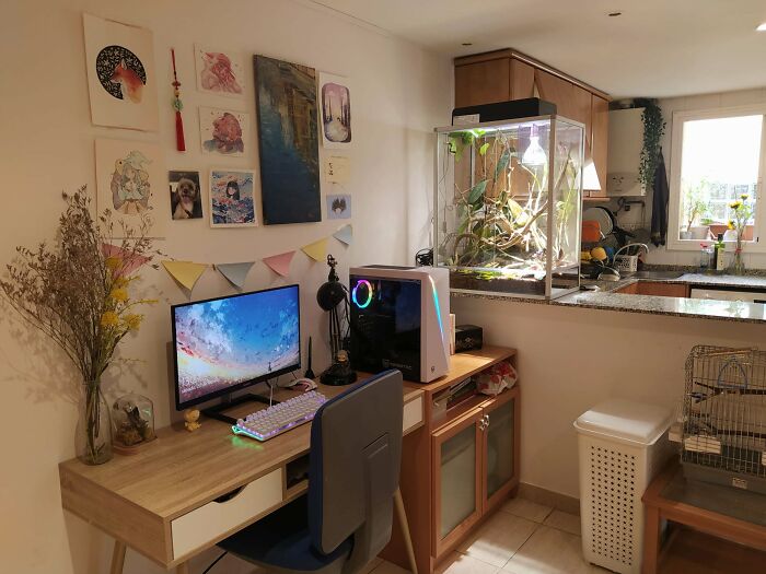Who Says There Is No Space For Terrariums And A Gaming PC In A Tiny Flat? Welcome To My 35m2 Loft! You Can "See" My Murphy Bed In The Last Picture, Gives Me A Lot Of Free Space :)