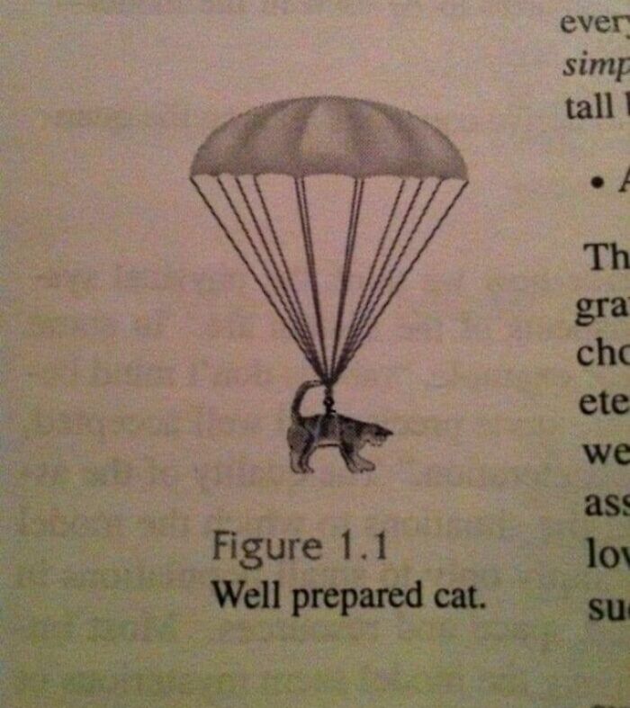 Illustration of a cat using a tail-attached parachute, one of the awkward photos almost too painful to look at.