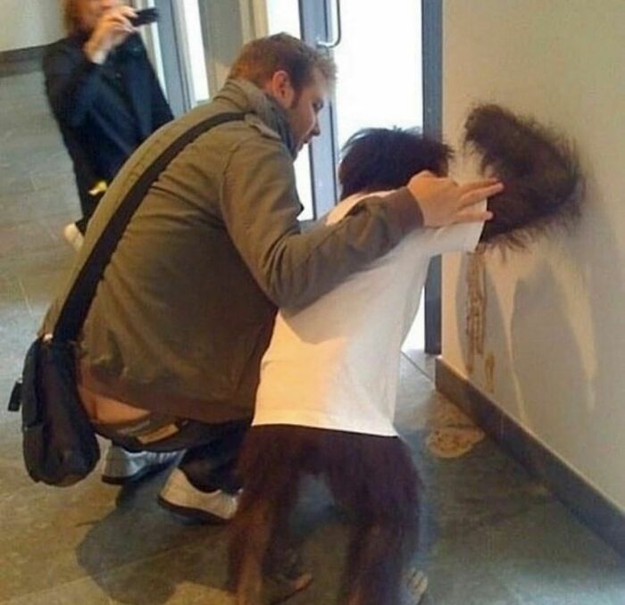 Man crouching next to a person in an orangutan costume pushing their head into a wall in an awkward photo moment