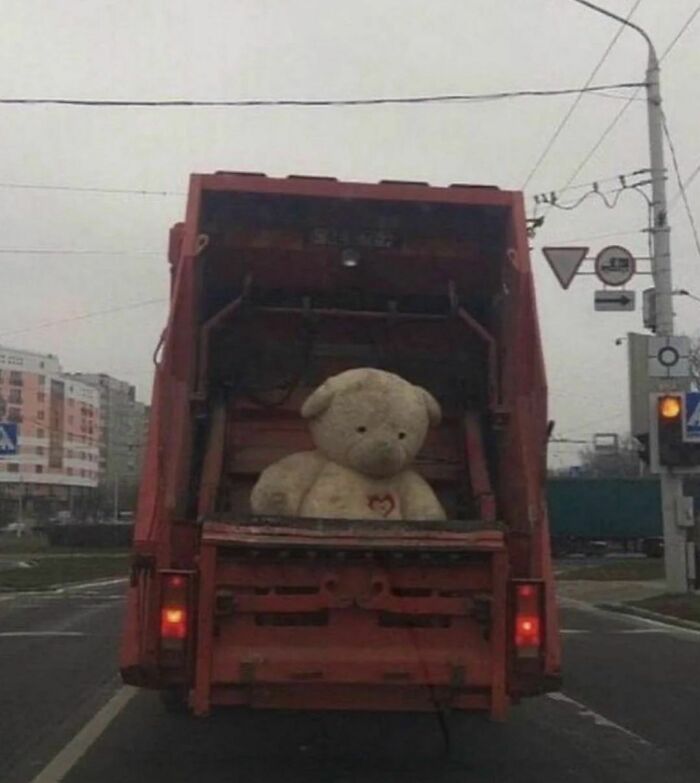 Large teddy bear stuck in the back of a garbage truck on a city street, an awkward photo moment captured.