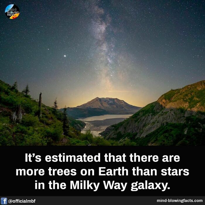 Scenic view of the Milky Way galaxy over a forested valley, illustrating fascinating astronomical facts.