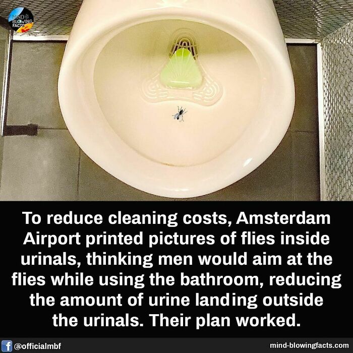Urinal at Amsterdam Airport with fly target, illustrating fascinating facts about cleaning cost reduction strategies.