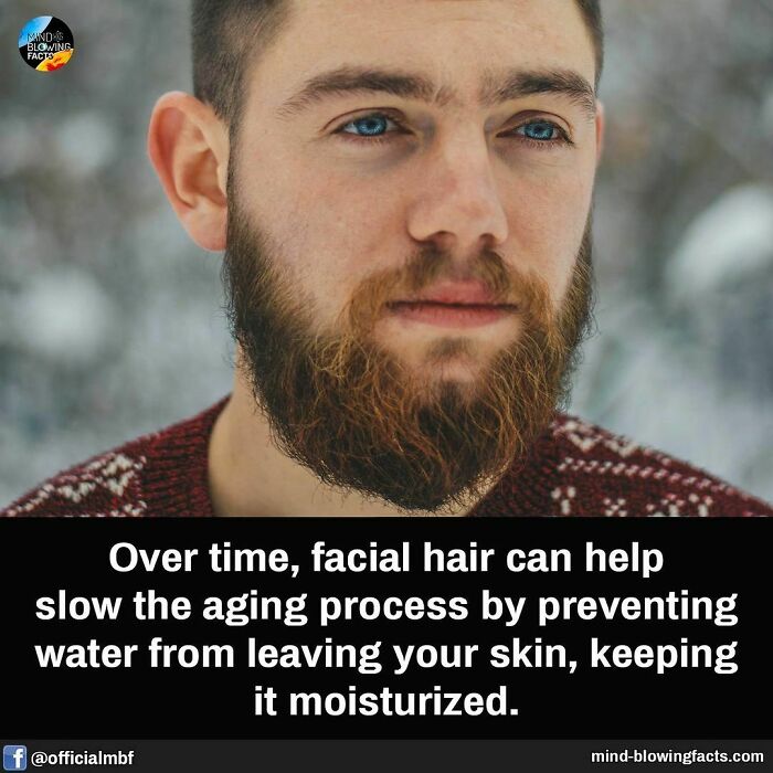 Bearded man outdoors, showcasing fascinating facts about facial hair and skin hydration benefits.